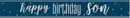 Unique Banner Blue Glitz Happy Birthday Son 9ft