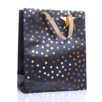 Tiger Feet 6 Pack Gift Bag Bags Stars Medium