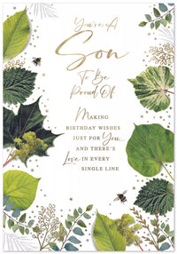 Simon Elvin C90 Birthday Son 6pk