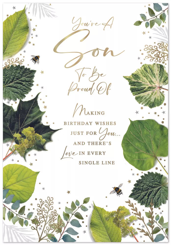 Simon Elvin C90 Birthday Son 6pk