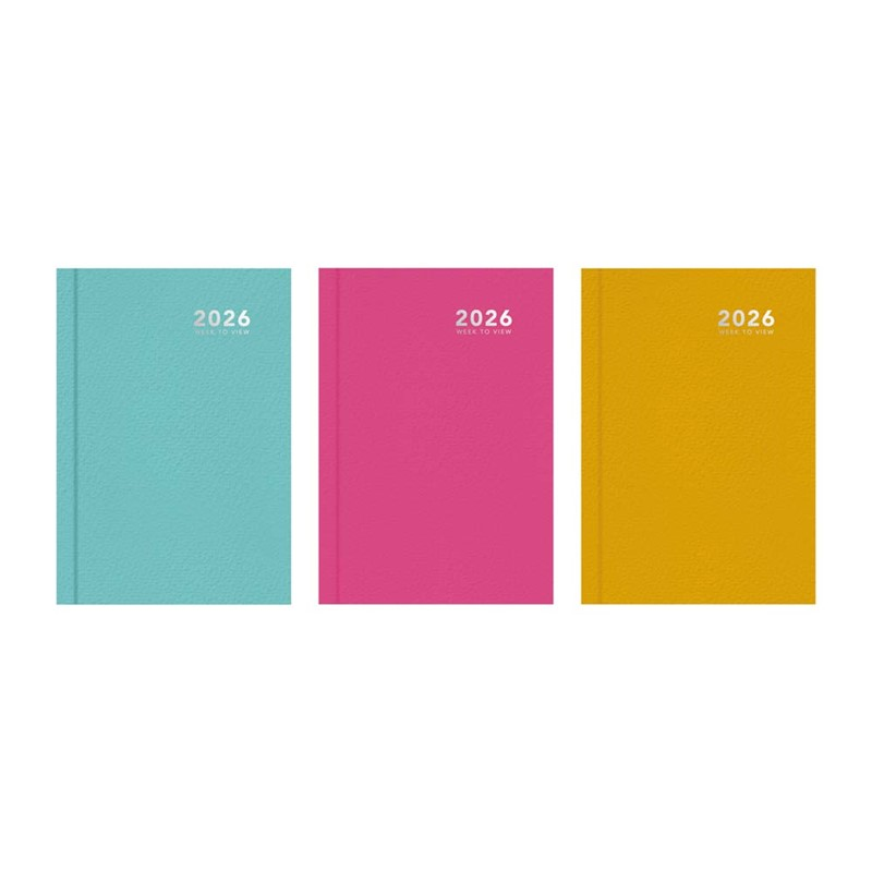 Diary A6 WTV Bright Casebound 2027 10pk