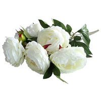 Cream Peony Rose Flower Bush