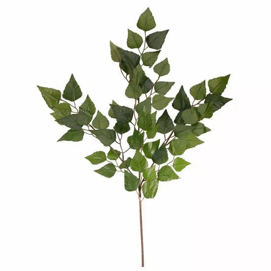 Elm Leaf
