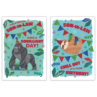 Poppyhill 12 Pack Cards C50 Birthday Son-In-Law