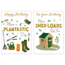 Poppyhill C50 Birthday Open 12pk