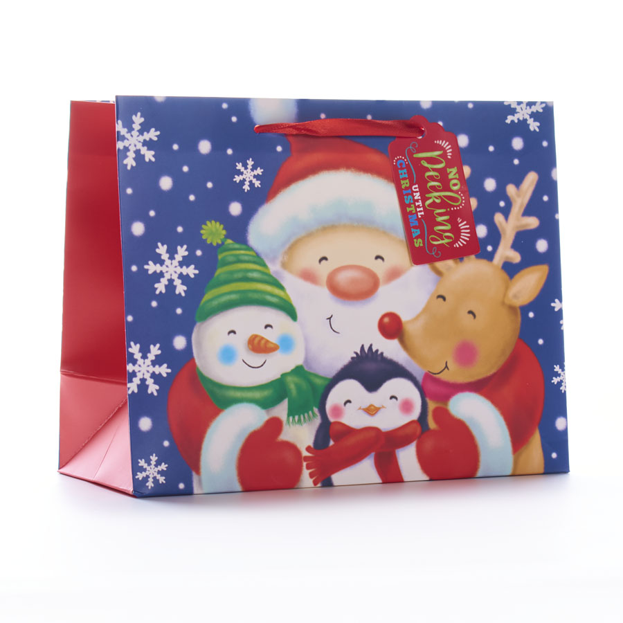 Gift Bag Santa & Friends Medium Landscape 12pk