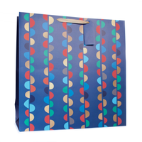 Tiger Feet 6 Pack Gift Bag Bunting Blue Giant
