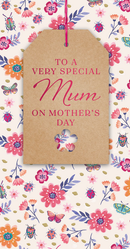 Prelude C55 Mother's Day Mum 6pk