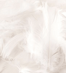 Eleganza White Mixed Feathers 50g