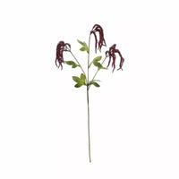 Catkin Spray Dark Red