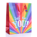 Gift Bag Just For You Colourful Large 6pk