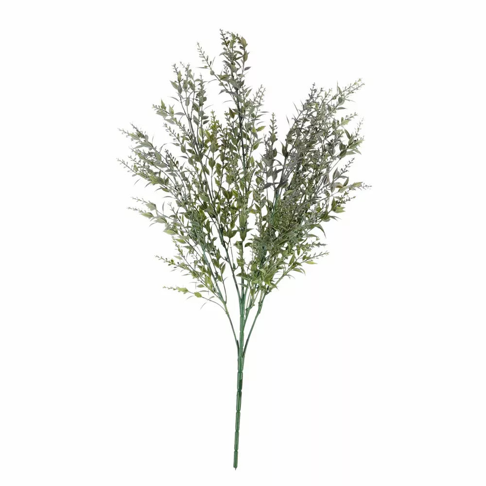 Ruscus Bush Purple