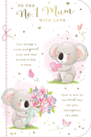 Prelude C75 Mother's Day Mum 6pk