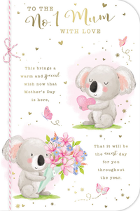 Prelude C75 Mother's Day Mum 6pk