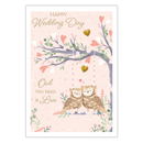 Prelude 6 Pack Cards C50 Everyday Wedding Cute Owl