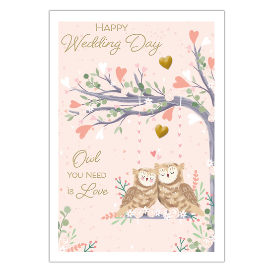 Prelude 6 Pack Cards C50 Everyday Wedding Cute Owl