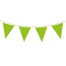 Green Solid Colour Bunting 20 Flags 10m
