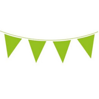 Green Solid Colour Bunting 20 Flags 10m