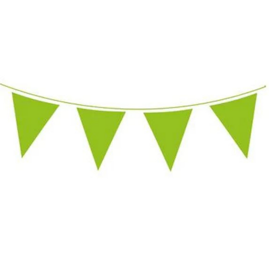 Green Solid Colour Bunting 20 Flags 10m