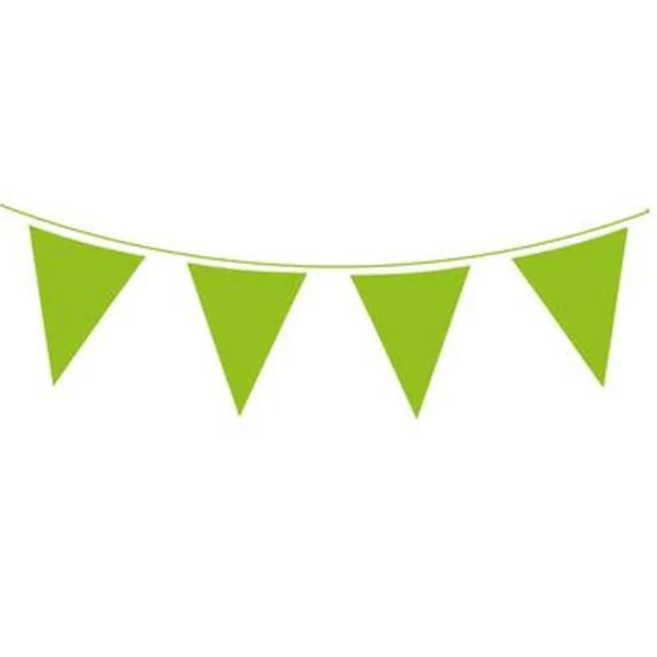 Green Solid Colour Bunting 20 Flags 10m