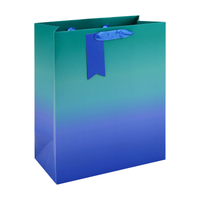 Eurowrap 6 Pack Gift Bag Blue Ombre Large