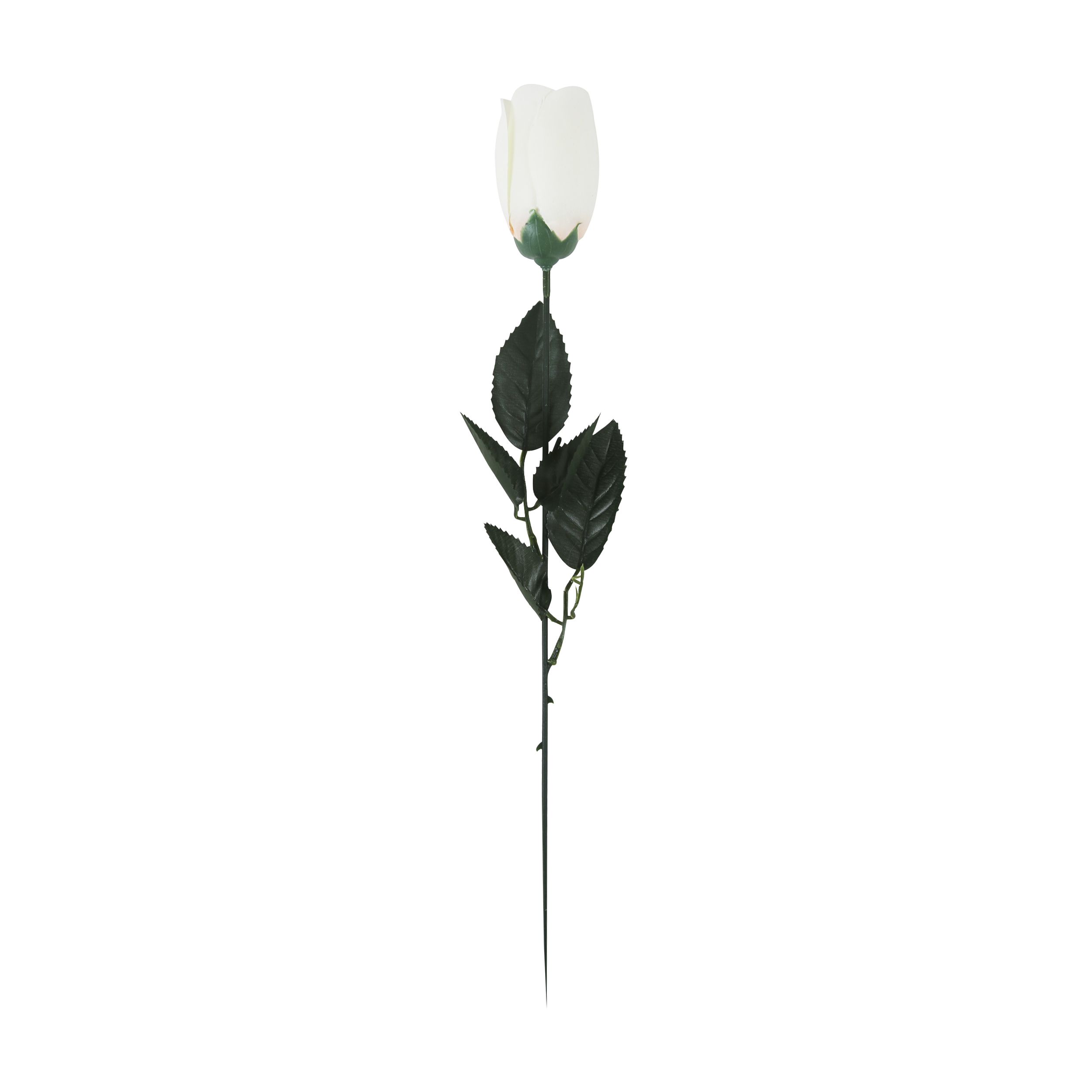 Artificial Rose In Acetate 45cm White 24pk