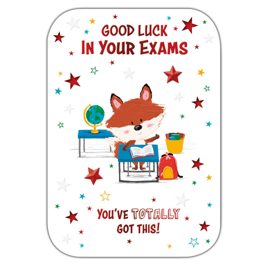 Prelude 6 Pack Cards C50 Back To School Exams Cute