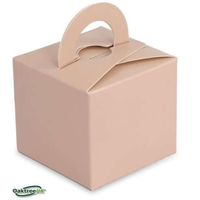 Oaktree 10 Pack Balloon Weight Gift Box Nude