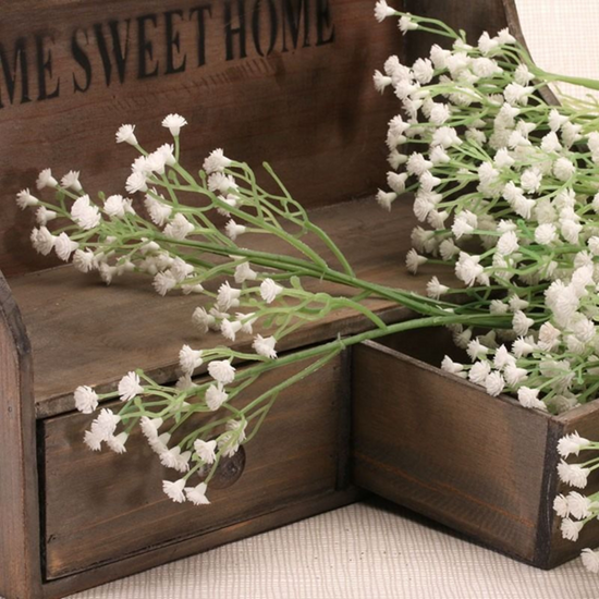 Gypsophelia White 6pk
