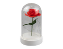 LED Rose Cloche 19cm (Batteries Not Included)