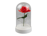 LED Rose Cloche 19cm (Batteries Not Included)