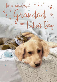 Set of six Regal C90 Father's Day Grandad greeting cards featuring heartfelt designs for celebrating grandfathers.