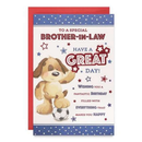 Prelude C75 Birthday Brother-In-Law 6pk