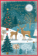 Simon Elvin C75 Christmas Sister & BIL 6pk