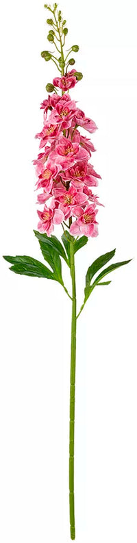 Eleganza Delphinium Stem Dark Pink