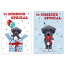 Poppyhill C50 Birthday Someone Special 12pk