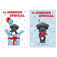Poppyhill C50 Birthday Someone Special 12pk