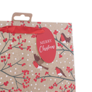 Tiger Feet Gift Bag Robin Large 12pk