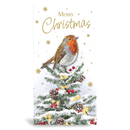 Prelude 6 Pack Cards C55 Christmas Robin