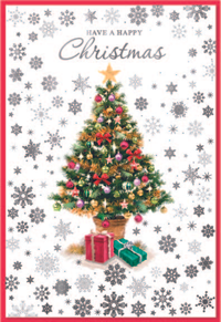 Simon Elvin 6 Pack Cards C50 Christmas Open