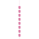 Pink 5ft hanging decor with "Age 13" Glitz design, perfect for party decorations, by Unique.