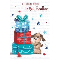 Kingsley 6 Pack Cards C50 Birthday Brother