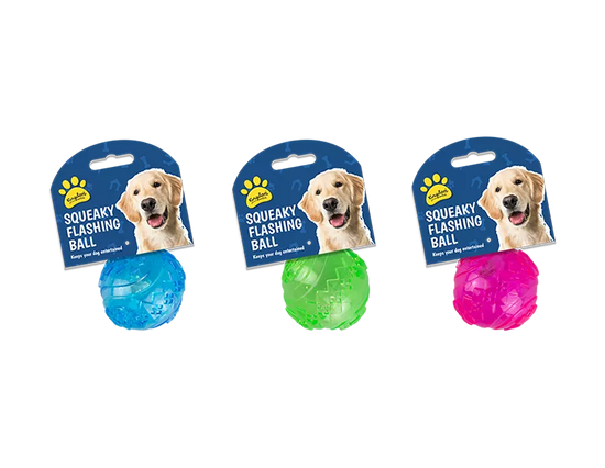 Flashing & Squeaky Play Ball (Colour May Vary)