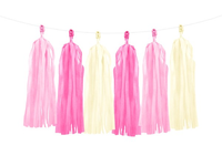 Pink And Cream Mixed Tassel Garland 1.5m
