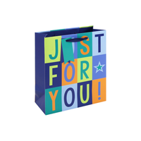 Eurowrap 6 Pack Gift Bag Just For You Medium