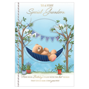 Prelude 6 Pack Cards C90 Birthday Grandson