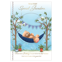 Prelude 6 Pack Cards C90 Birthday Grandson