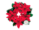 Gem Imports Wreath Poinsettia 32cm