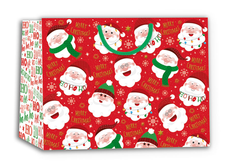 12pk Medium Landscape Gift Bags Santa