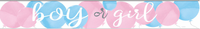 Unique Banner Gender Reveal Balloons 9ft